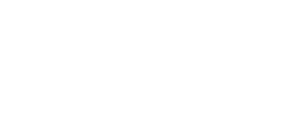 slfholdings.com